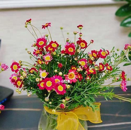 玛格丽特花的寓意与美好生活（探索玛格丽特花的象征意义）