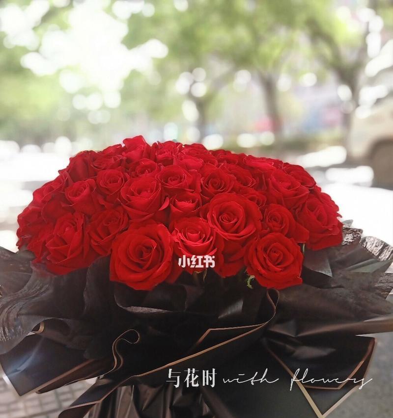 玫瑰花的朵数与其象征意义的关系（探究玫瑰花朵数的神秘之处）