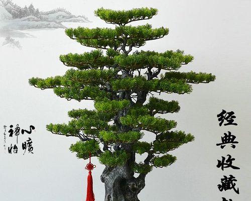 崖柏怎么养长的好？养护技巧与常见问题解答？