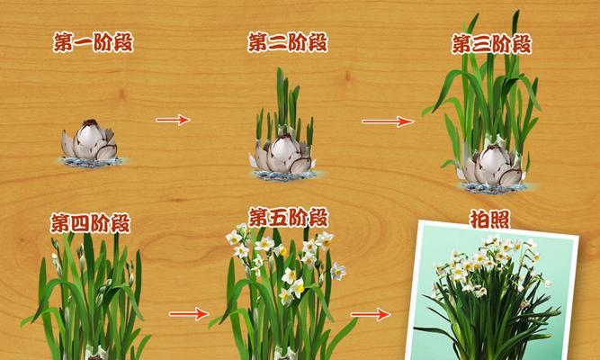 菱角怎么储存才能保持新鲜？最佳储存技巧是什么？
