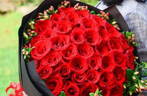 乌鲁木齐的市花——蒙古黄堇，花开如金色之城（探寻蒙古黄堇的历史渊源与象征意义）