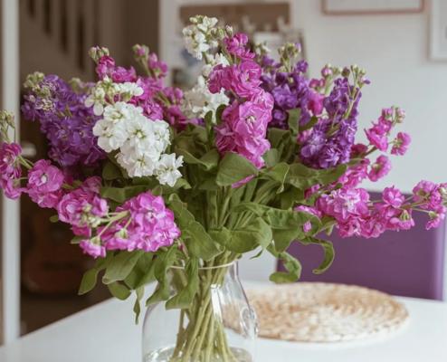 紫罗兰的花语及寓意（探寻紫罗兰的花语和象征意义）