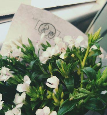 相思梅的花语与寓意——探索爱与思念的象征（相思梅）