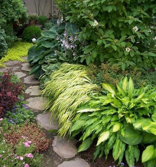 生生不息的植物世界（探索自然奇观）