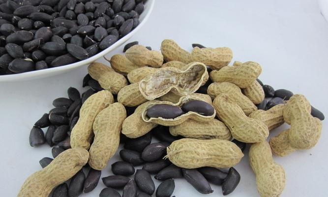 黑花生是哪里的特产？如何辨别真正的黑花生产地？