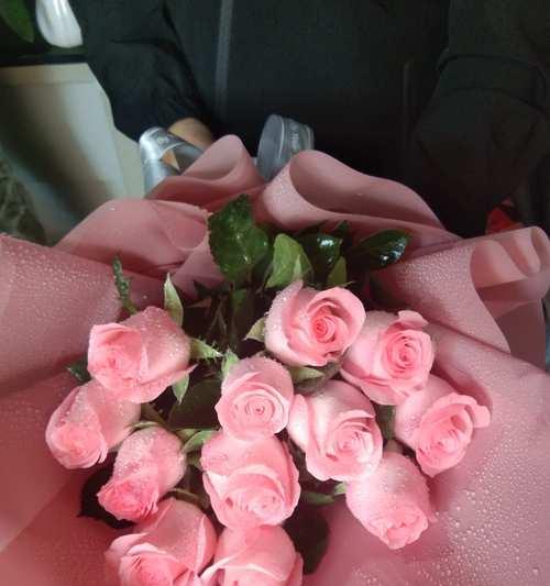 粉色玫瑰的含义与象征（探寻粉色玫瑰的浪漫和温馨之魅力）