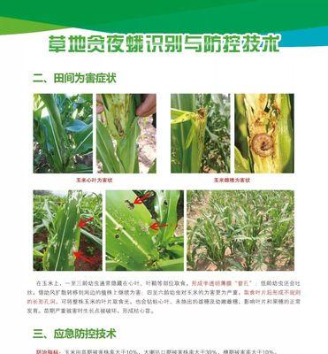 白芨病虫害如何防治？有效防治技术与方法措施是什么？