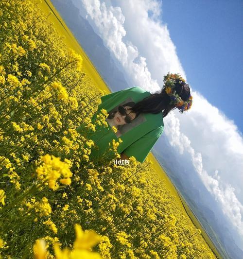 油菜花——春天的使者（探寻油菜花的文化背景与花语之谜）