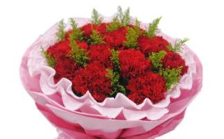 康乃馨的花语和象征意义（探索康乃馨花的深层寓意及文化象征）