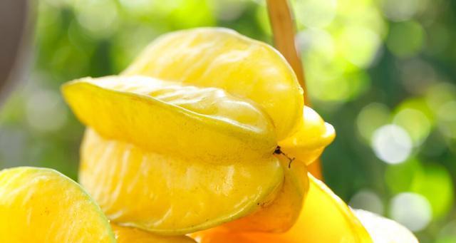 杨桃嫁接的最佳时间是什么时候？如何提高成活率？