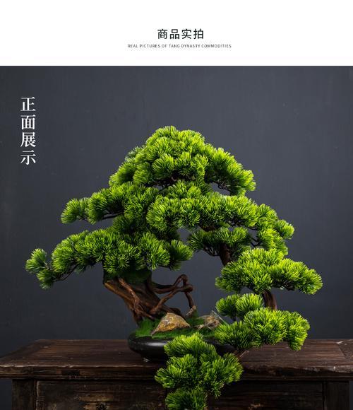 迎客松（迎客松的象征意义与文化内涵）
