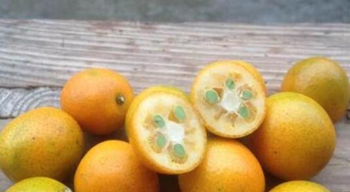 金桔带皮食用安全吗？食用前需要清洗吗？