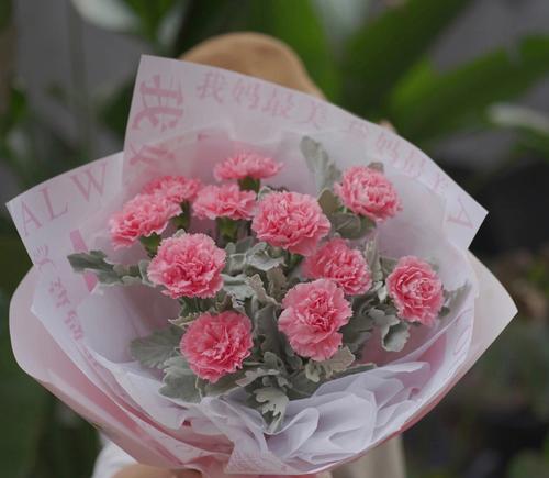 康乃馨的象征意义与文化传承（解读康乃馨）