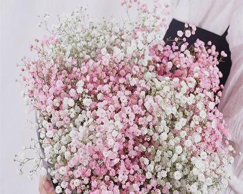 满天星,寄托真挚情感的花语(以送满天星表达深深的祝福)