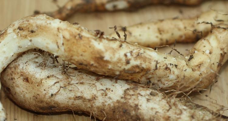 山药怎么洗才干净？彻底清洗山药的步骤和技巧是什么？