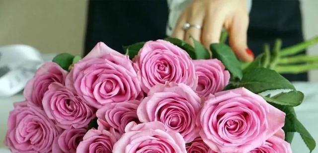 玫瑰花数量的含义（探索玫瑰花数量在不同场合中的象征意义）