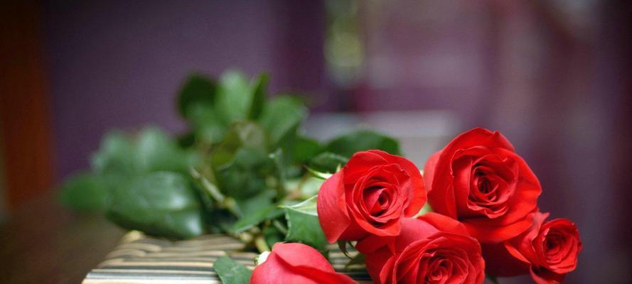 粉色玫瑰的花语——甜美爱意（传递爱意的11朵粉色玫瑰）