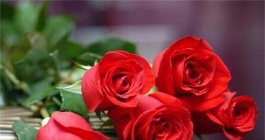 花开之语（揭示玫瑰数量的深层含义与象征）