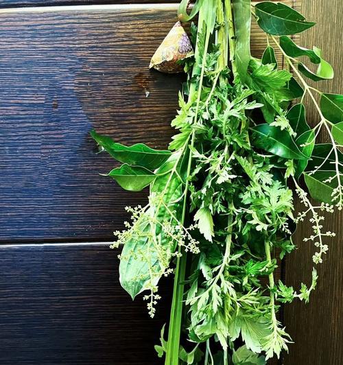 端午节挂艾草的寓意——防疫护身（艾草的消疫作用及端午节的文化传承）