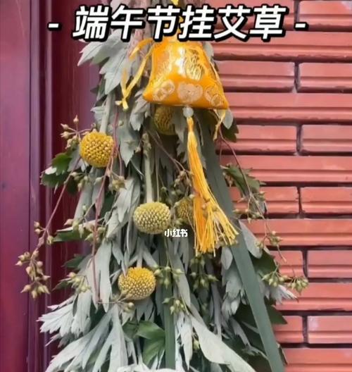 端午节挂艾草的寓意——防疫护身（艾草的消疫作用及端午节的文化传承）