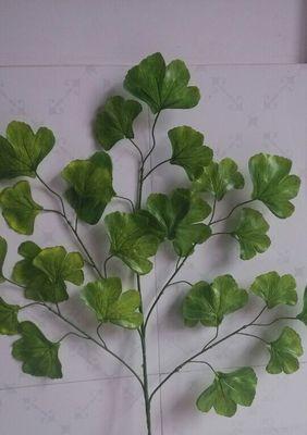 银杏叶做花土可行吗？使用银杏叶作为花土的正确方法是什么？