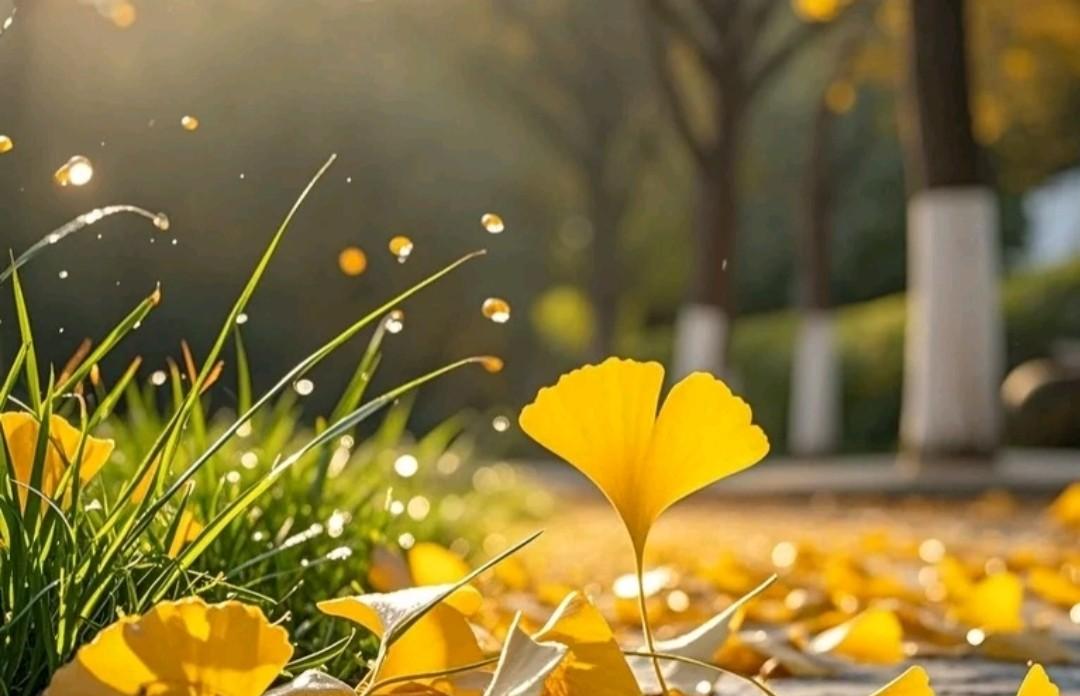 你有没有发现？越来越多的老年人不再喜欢热闹，而是爱上种菜