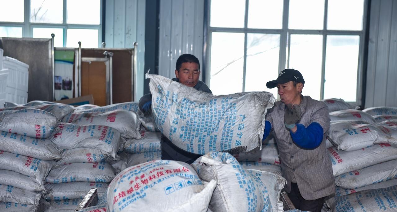 国内最好的复合肥是哪一种？如何挑选？分享一个很妙的小技巧