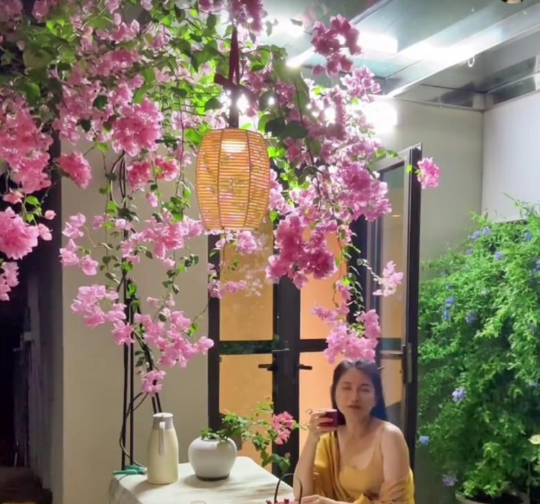 女子晒养9年的三角梅，直言“全网最美，不接爱反驳”：真的好看