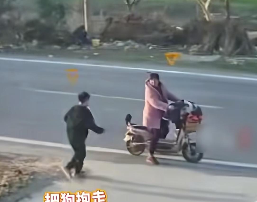 小狗家门口玩耍被陌生母子抱走，男孩边抱狗边喊:快走,人家不愿意