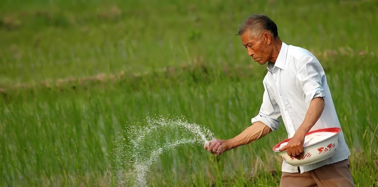 3招挑对复合肥，亩产轻松增三成？老把式悄悄告诉你秘诀！