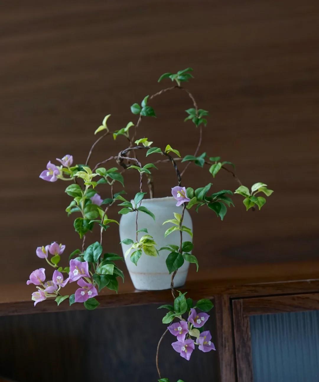 广东一男子，用一根铝钱把三角梅养成“艺术品”：牛，造型美爆了