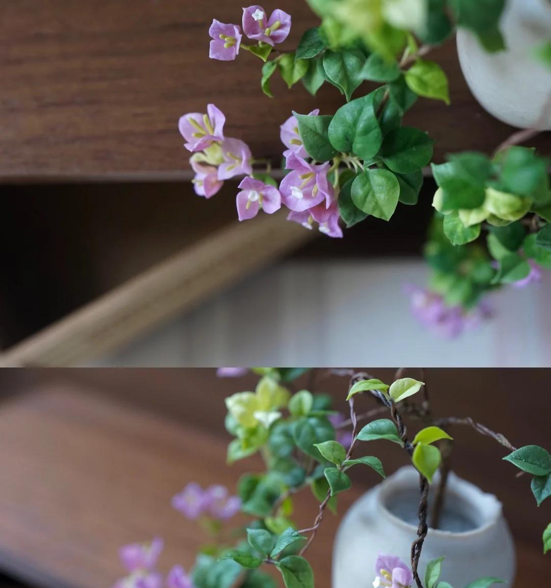 广东一男子，用一根铝钱把三角梅养成“艺术品”：牛，造型美爆了