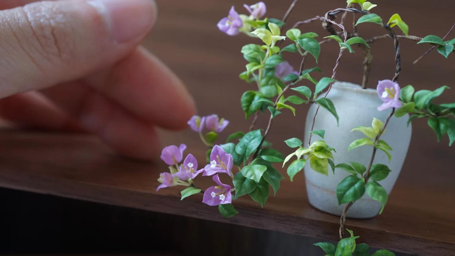 广东一男子，用一根铝钱把三角梅养成“艺术品”：牛，造型美爆了