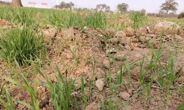 两股冷空气排队上场！12月7日起北方降温8℃来袭，10日新一轮更猛