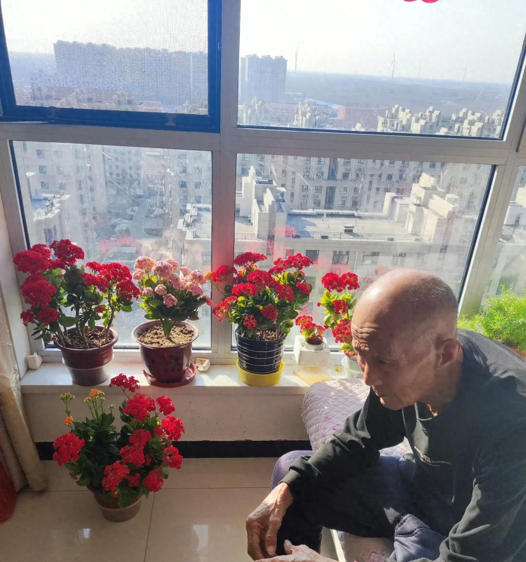 男子晒87岁老爸养的花，引上万人围观，好喜庆，网友：一看就有福