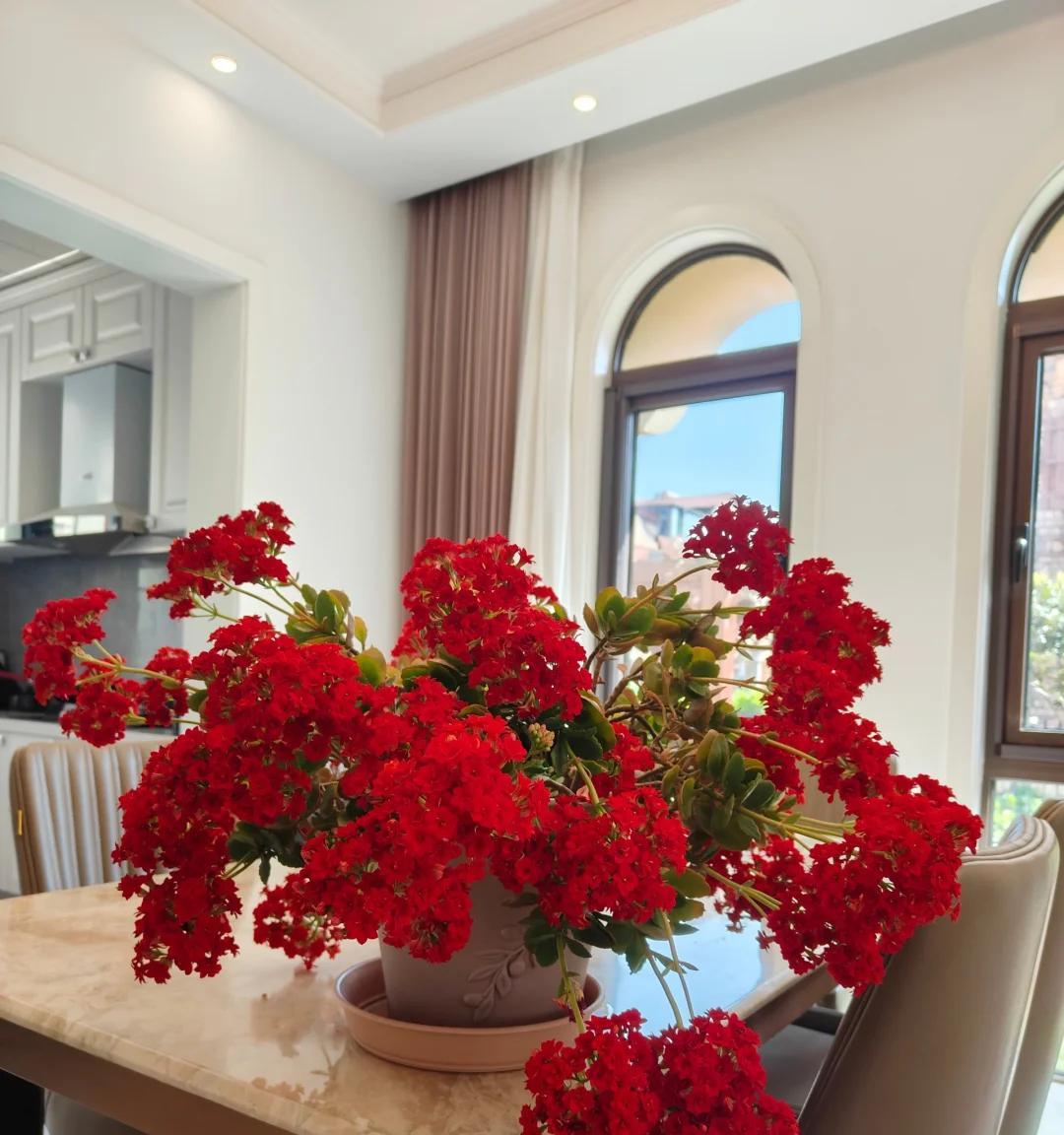 男子晒87岁老爸养的花，引上万人围观，好喜庆，网友：一看就有福