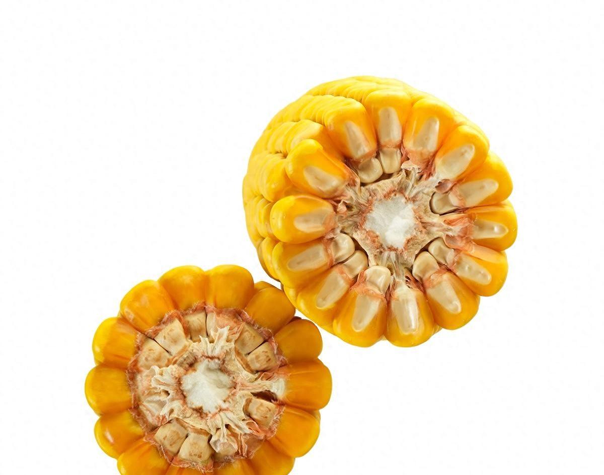 春播玉米选择品种是红轴品种好还是白轴品种好呢？