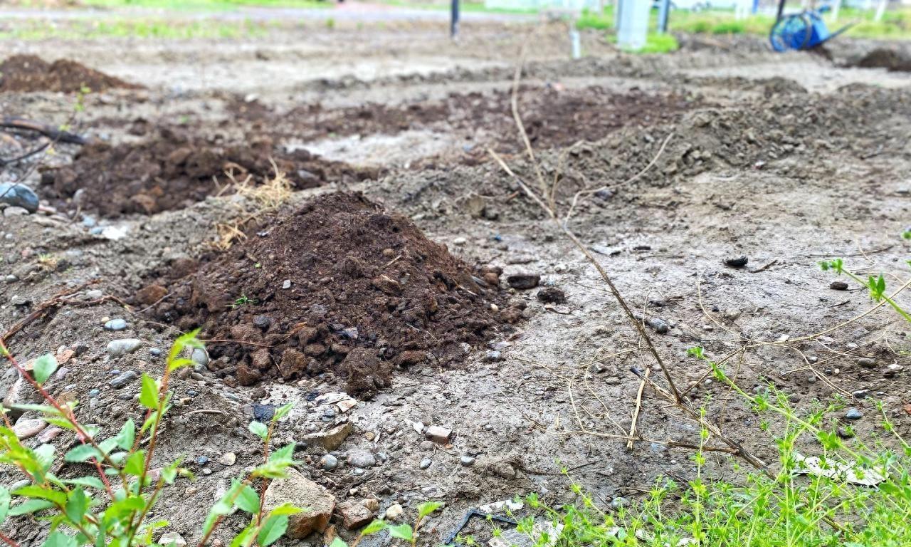 有机肥要发酵多长时间？各种肥料用后多长时间见效？有效期多长？