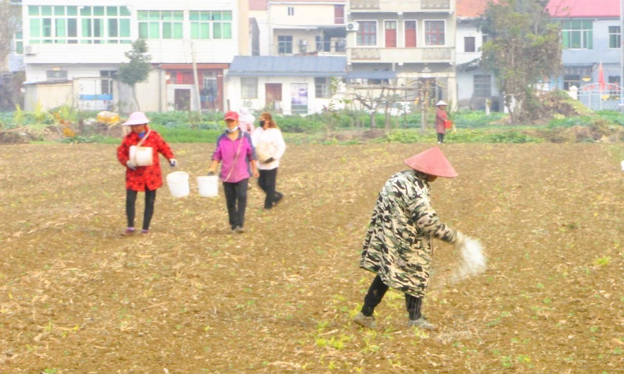 有机肥要发酵多长时间？各种肥料用后多长时间见效？有效期多长？