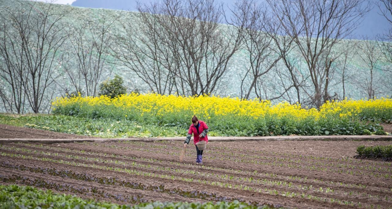 有机肥要发酵多长时间？各种肥料用后多长时间见效？有效期多长？