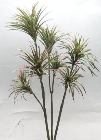 百合竹的风水象征是什么？如何正确摆放以增强风水？