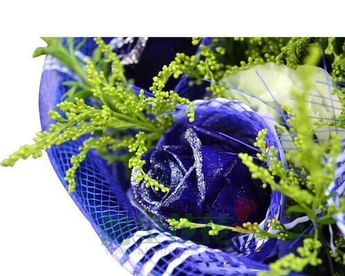 蓝色玫瑰花的象征意义（揭开蓝色玫瑰花背后的秘密）