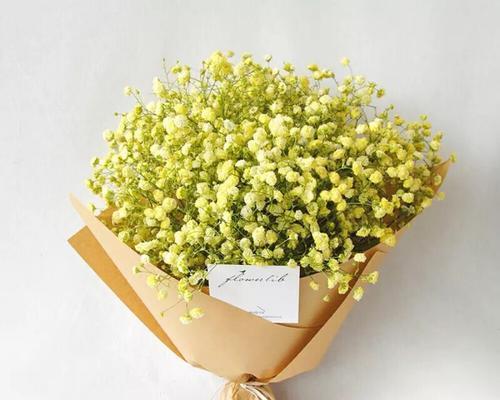 满天星花语的美丽寓意（揭示满天星花语的秘密）