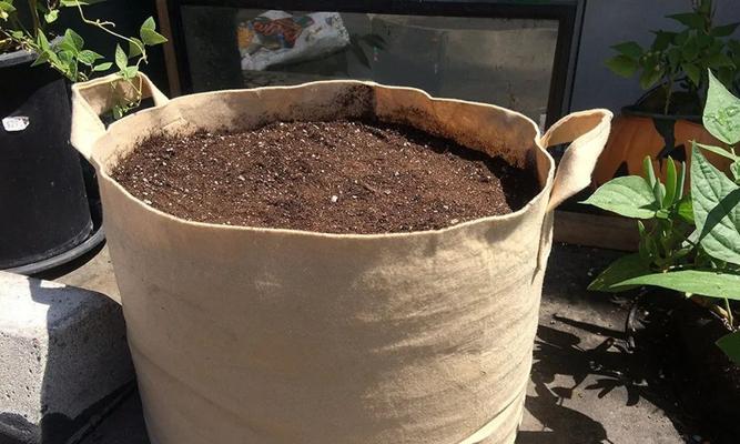 茶叶能用作花土吗？使用茶叶作为花土的利弊是什么？