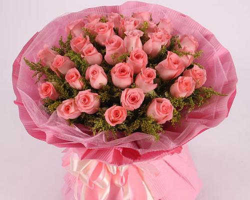 一朵粉玫瑰的象征意义（揭示花语之迷——粉玫瑰的隐含寓意）