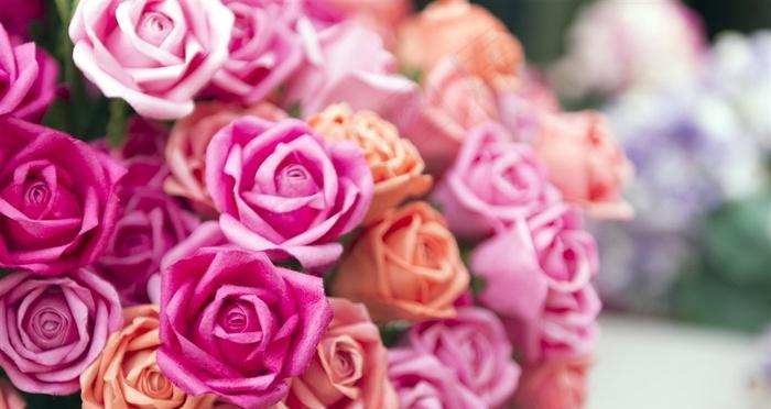 玫瑰花中的粉色力量（探寻粉色玫瑰的花语与意义）