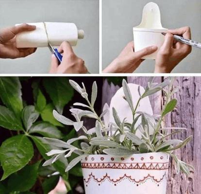 绿植可以浇可乐吗？用可乐浇盆栽植物的方法是什么？