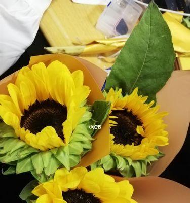 以向日葵花语，适合送给什么人（花语之美）