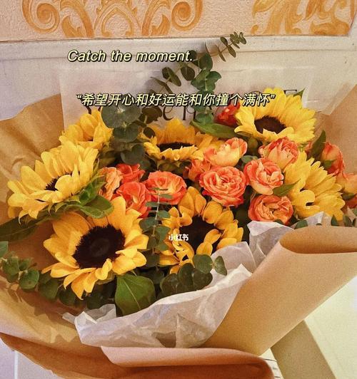 以向日葵花语，适合送给什么人（花语之美）