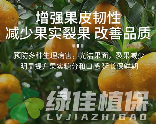 桃树用什么肥料最好？如何根据季节选择合适的肥料？